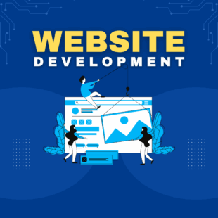 website development company in Delhi