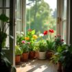 Best Housewarming Gifts - Best Housewarming Gifts